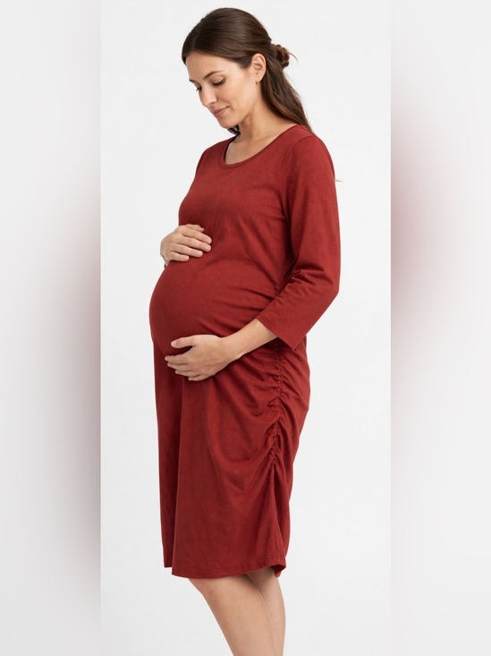 Liz Lange for Target Dresses & Skirts - Liz Lange | Burnt Red Maternity Dress